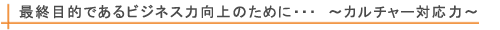 最終目的であるビジネス力向上のためにカルチャー対応力